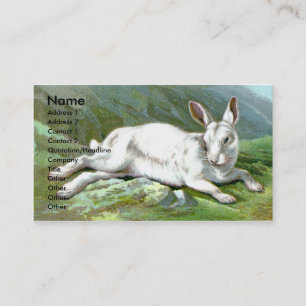 Alpenhase Visitenkarte