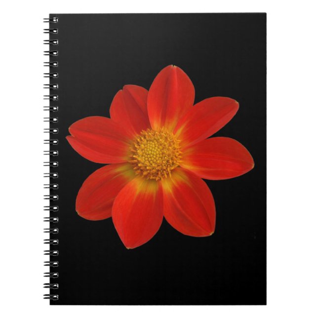 Alpenkreuz (Dahlia) Notizblock (Vorderseite)
