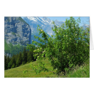 Alpenlandkarte