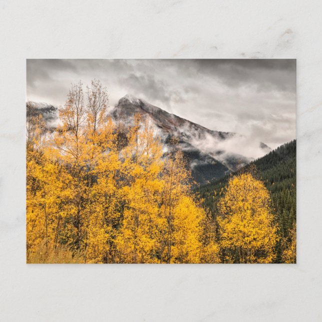 Alpenschleife | Silverton, Colorado Postkarte (Vorderseite)