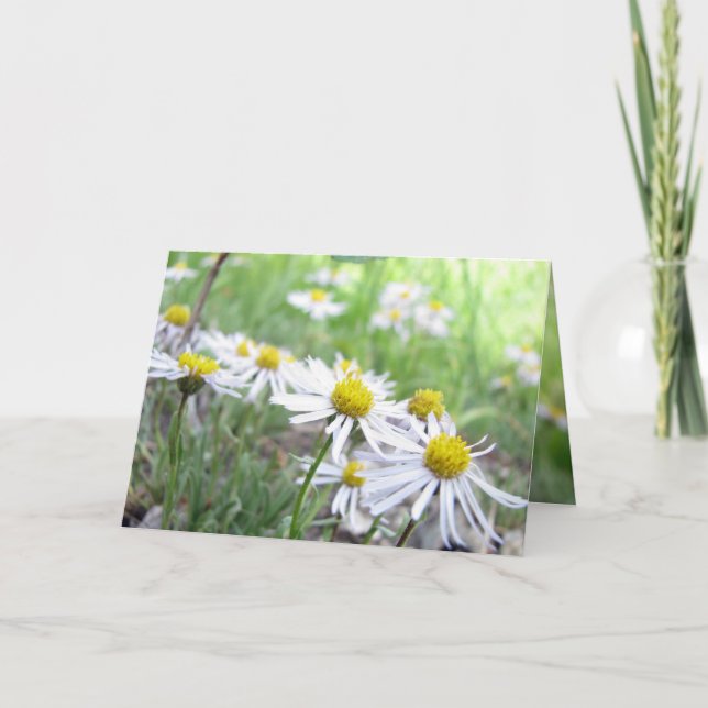 Alpenserie Karte (Vorderseite)