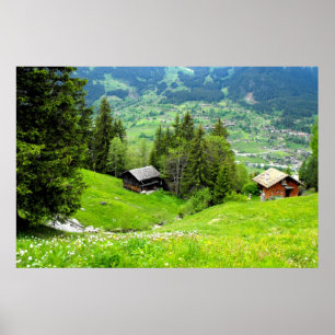 Alpensommer in der Schweiz Poster