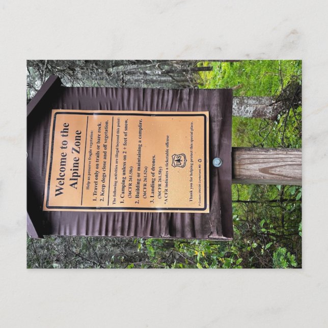 Alpenzone - Weißer Berg Nationalwald Postkarte (Vorderseite)