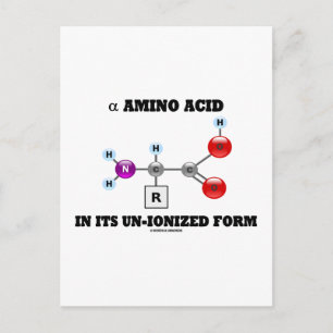 alpha-Aminosäure in nicht ionisierter Form (Molekü Postkarte