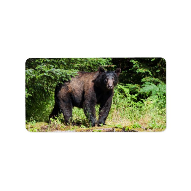 Alpha Black Bear Adressaufkleber (Vorne)