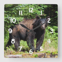Alpha Black Bear