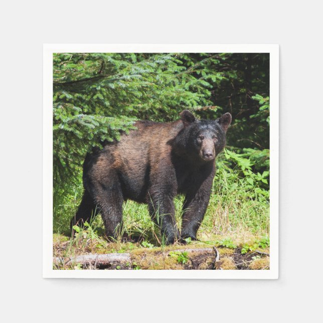 Alpha Black Bear Serviette (Vorderseite)