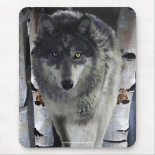 ALPHA GRAY WOLF Wildlife Supporter Mousepad
