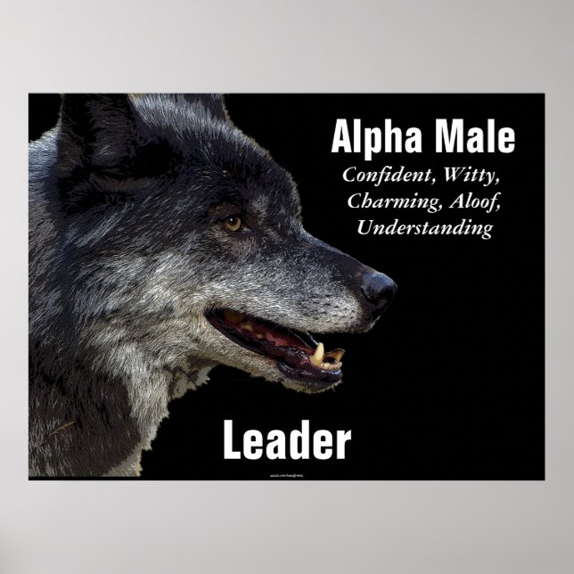 Alpha Male Gray Wolf Motivierend Poster (Vorne)
