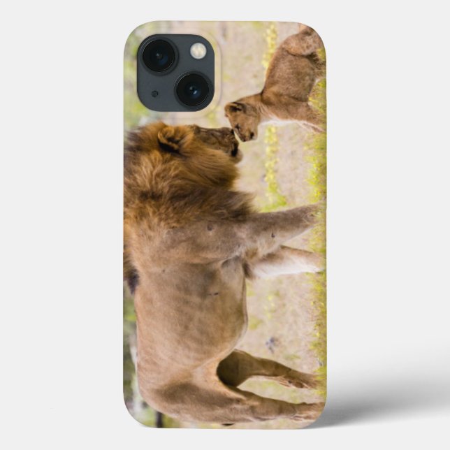 Alpha-Männerkleie untersucht Junge Case-Mate iPhone Hülle (Rückseite)