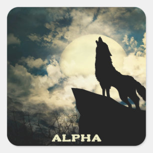 Alpha-Wolf heult bei Vollmond  Quadratischer Aufkleber