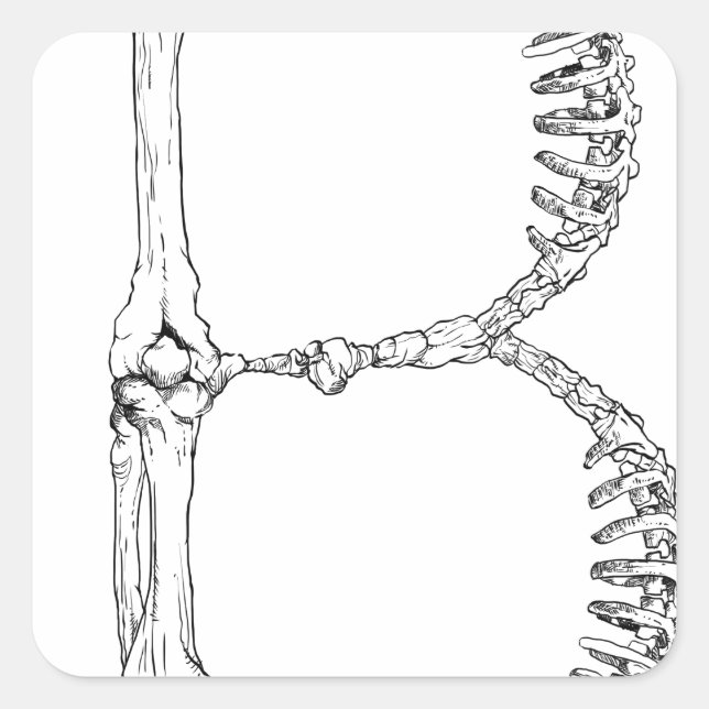 Alphabet Bone Letter B Quadratischer Aufkleber (Vorderseite)