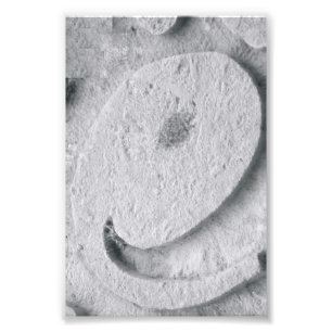 Alphabet-Buchstabe-Fotografie E4 Schwarzweiss-4x6 Fotodruck