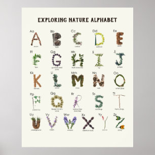 Alphabet der Natur erkunden   Wald-ABC-Kinderkripp Poster