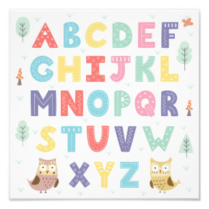 Alphabet Eulen Fotodruck