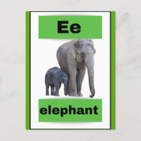 Alphabet-Karte(mit echtem Bild)Ferienpostkarte