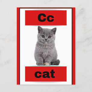 Alphabet-Karte(mit echtem Bild)Ferienpostkarte Feiertagspostkarte