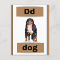 Alphabet-Karte(mit echtem Bild)Ferienpostkarte