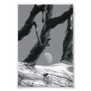 Alphabet Letter Fotografie M7 Schwarzweiß 4x6