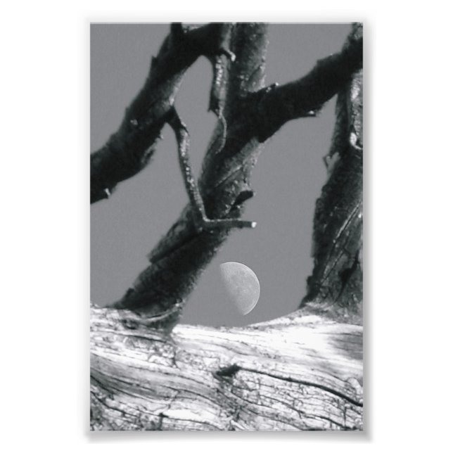 Alphabet Letter Fotografie M7 Schwarzweiß 4x6 (Vorne)