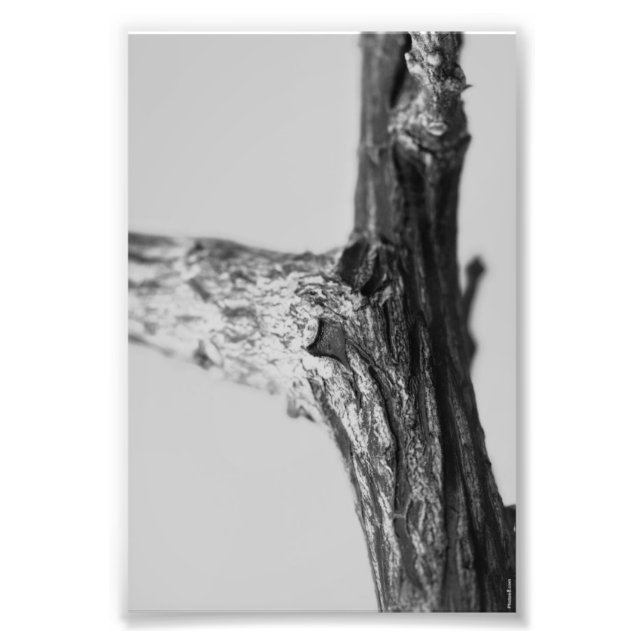 Alphabet Letter Fotografie Y8 Schwarz und Weiß 4x6 (Vorne)