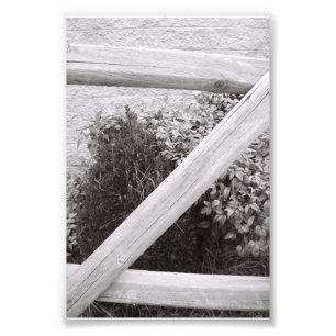 Alphabet Letter Fotografie Z2 Schwarz und Weiß 4x6