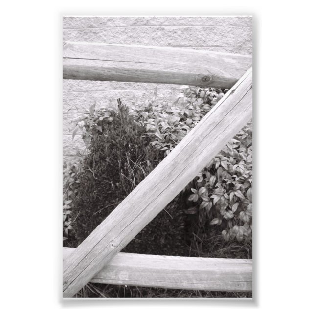 Alphabet Letter Fotografie Z2 Schwarz und Weiß 4x6 (Vorne)