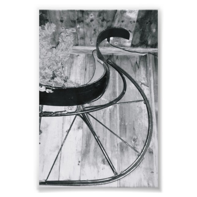 Alphabet Letter Fotografy A6 Black and White 4x6 Fotodruck (Vorne)