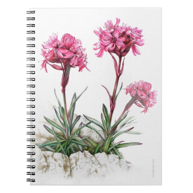 Alpine Catchfly Aquarell Fine Art Notizbuch Notizblock (Vorderseite)