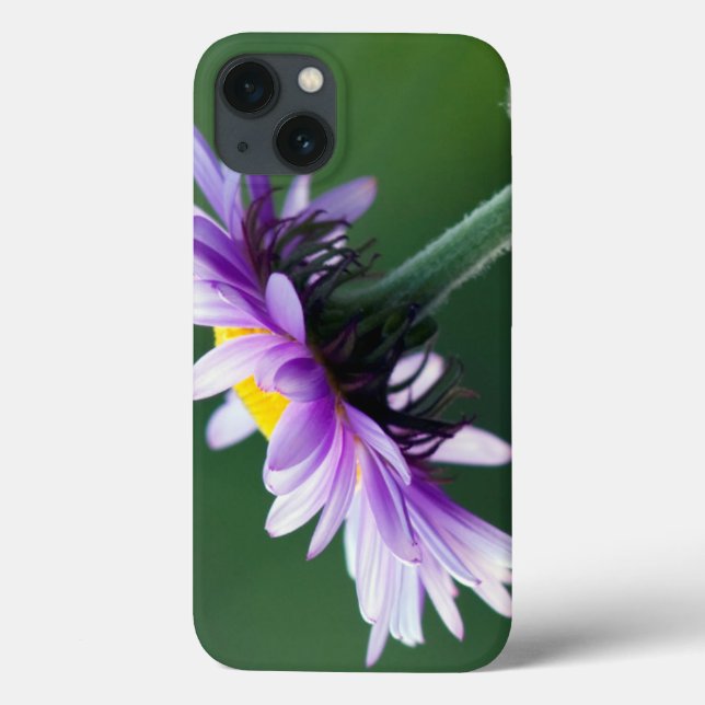Alpine Daisy Case-Mate iPhone Hülle (Rückseite)