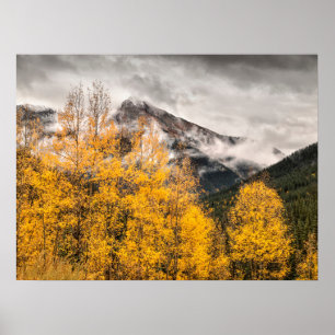 Alpine Loop   Silverton, Colorado Poster
