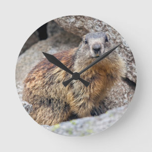 Alpine Marmot Clock Runde Wanduhr