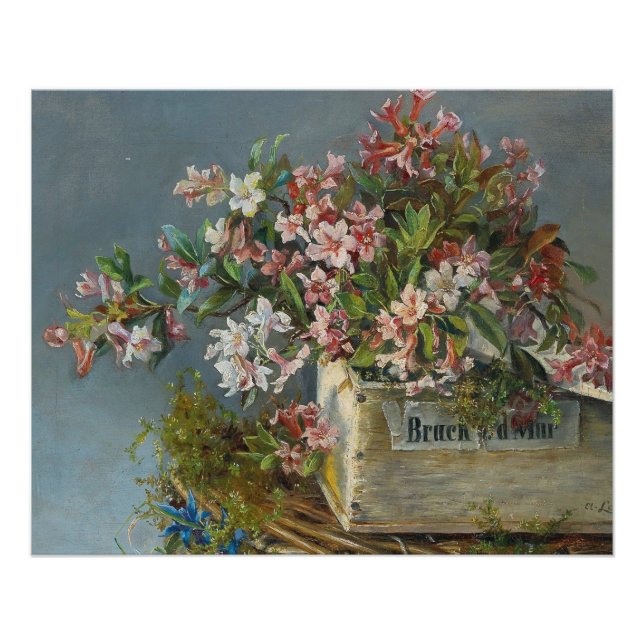 Alpine Rose in einer Windows Box - Andreas Lach Poster (Vorderseite)