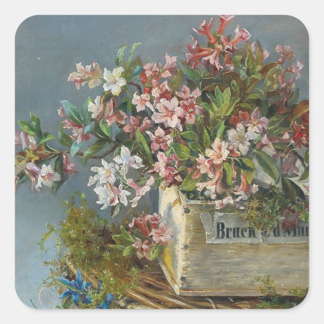 Alpine Rose in einer Windows Box - Andreas Lach Quadratischer Aufkleber (Vorderseite)