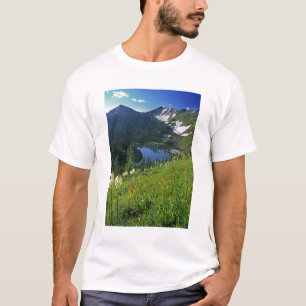 Alpine Wildblumen im Jewel Basin in der T-Shirt