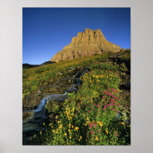 Alpine Wildblumen & Mt Clements am Logan Pass Poster