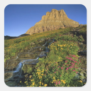 Alpine Wildblumen & Mt Clements am Logan Pass Quadratischer Aufkleber