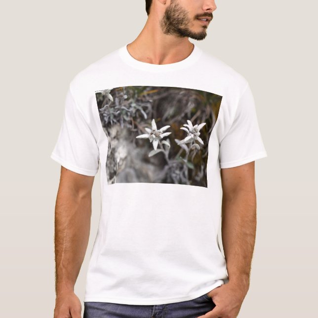 Alpines Edelweiss T-Shirt (Vorderseite)