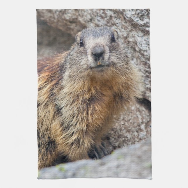 Alpines Marmot Küchentuch (Vertikal)