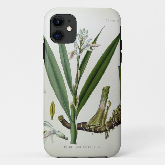 Alpinia officinarum Case-Mate iPhone hülle (Rückseite)