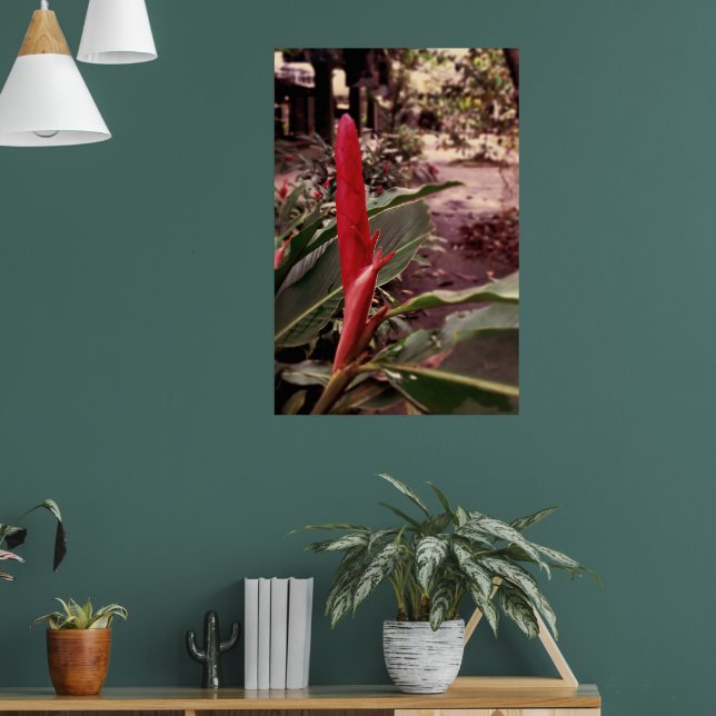 Alpínia purpurata 3 poster (Wohnzimmer 1)