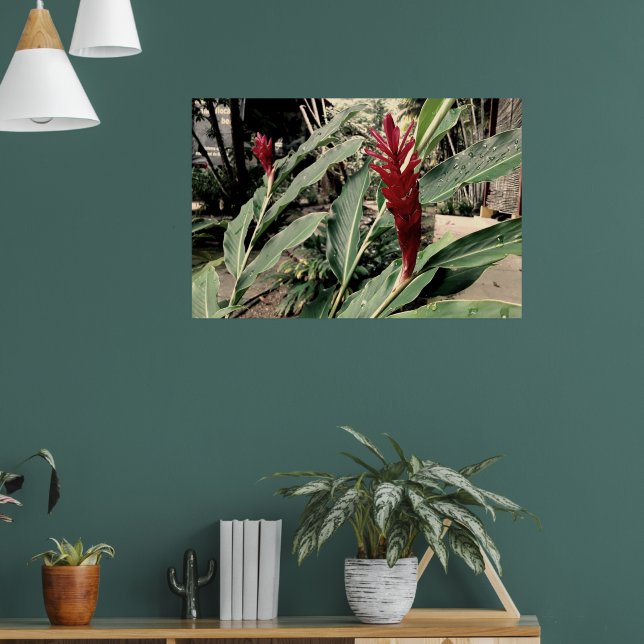 Alpínia purpurata poster (Wohnzimmer 1)
