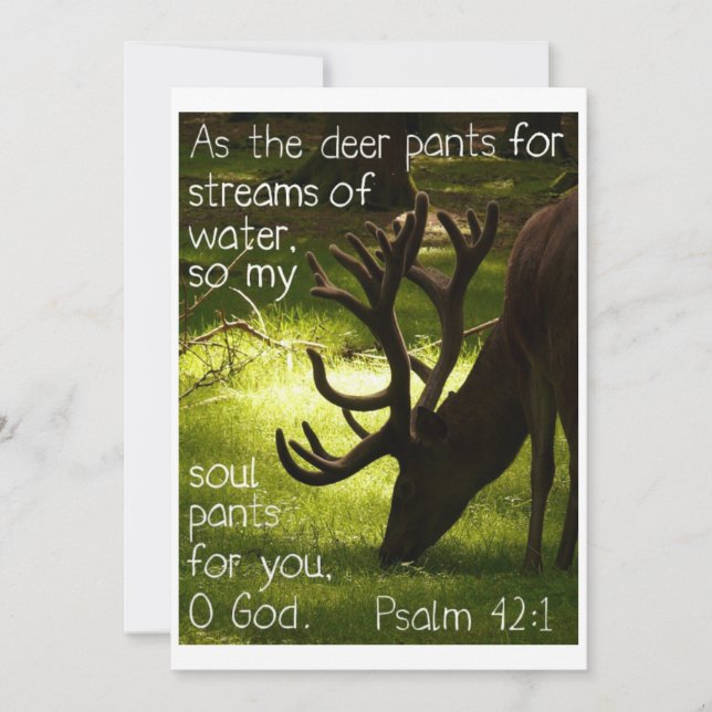 Als die Rotwild-Einladung Einladung (Vorderseite)