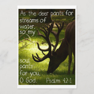 Als die Rotwild-Einladung Einladung