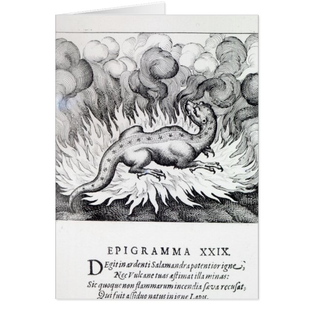 Als die Salamanderleben im Feuer (Vorne)