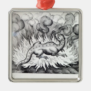 Als die Salamanderleben im Feuer Ornament Aus Metall