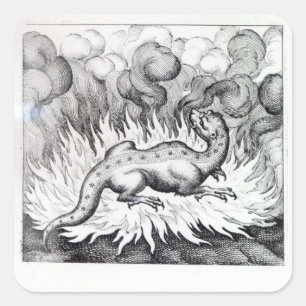 Als die Salamanderleben im Feuer Quadratischer Aufkleber