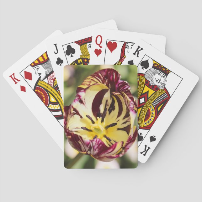 Als du einen Tulip hattest Spielkarten (Rückseite)
