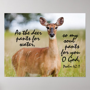 Als Hirschhose für Wasser Bibel Verse Psalm 42:1 Poster