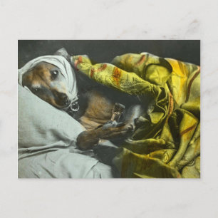 Als Hund tauchen bald Vintage magische Laterne auf Postkarte